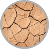 dried-skin-icon